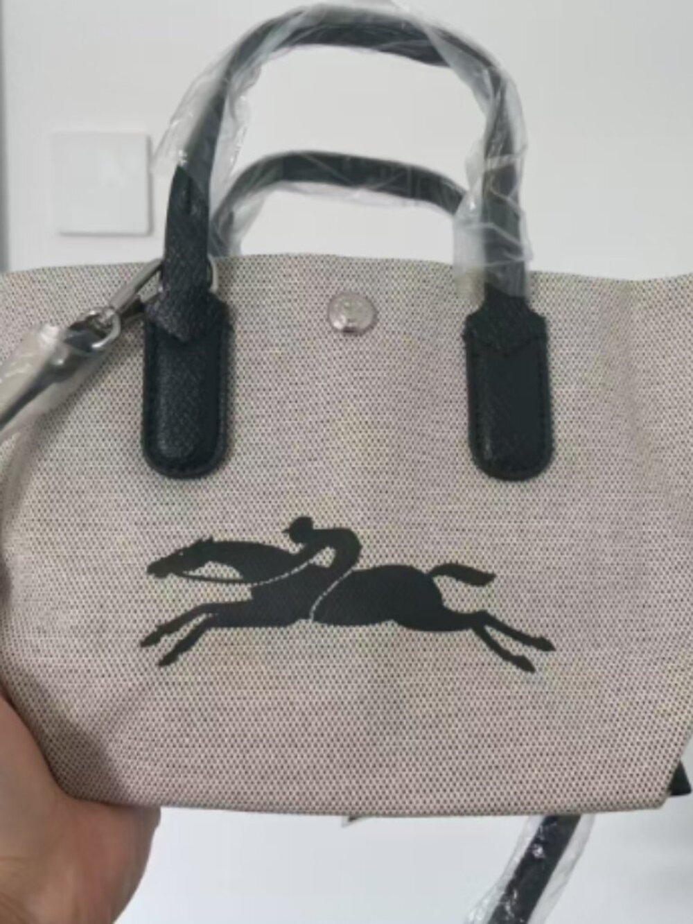 women longchamp bag small